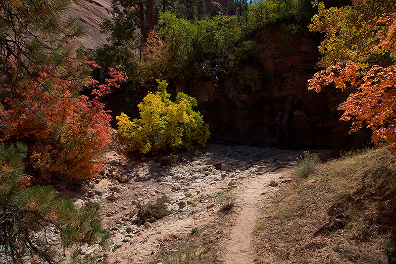 Herbstlicher Zion NP - XIII